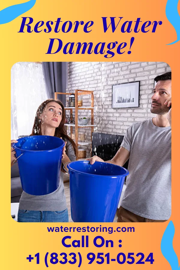 water restoration Total Water Cleanup Brothers Florence