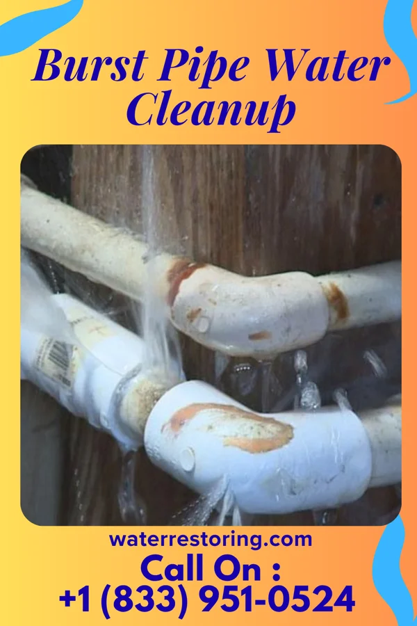 Burst Pipe Water Cleanup in Florence, MN