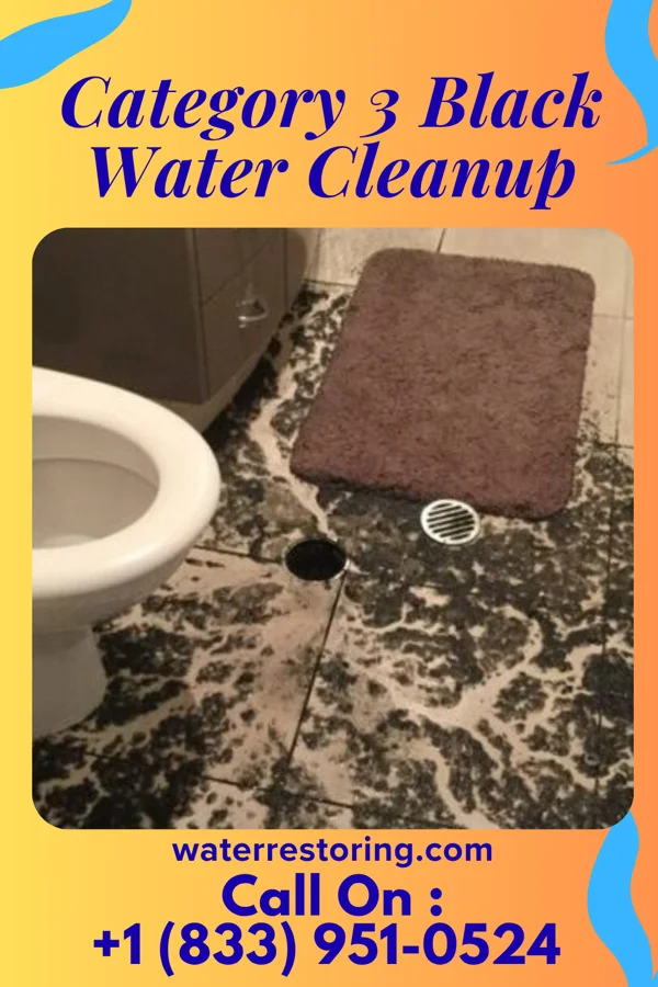 Category 3 Black Water Cleanup in Florence, MN